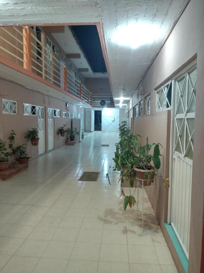 Hostal Eclipse Oaxaca Экстерьер фото
